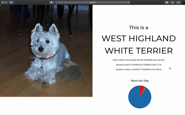 Dog Breed Classification